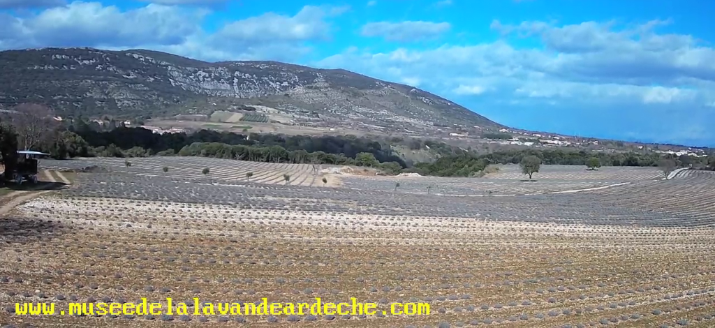Webcam live Ardèche - Musée de la lavande Saint-Remèze