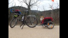 TV07 : Cyclopattes – Voyager à vélo avec son chien