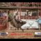 TV07 : Rodéo Ardèche à Joyeuse