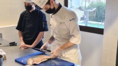 TV07 : Formation Poisson avec l’UMIH07 – Lycée Hôtelier Marie Rivier de Bourg Saint Andéol￼