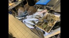 TV07 : Formation Poisson avec l’UMIH07 à Largentière