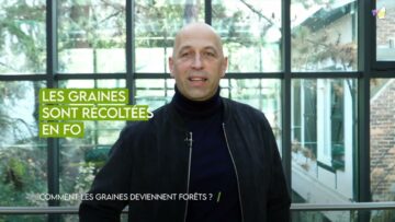 TV07 : Comment les graines deviennent forêts ?