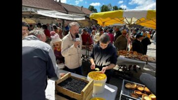 TV07 : Le marché de la Myrtille Sauvage d’Ardèche (2023)