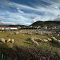 TV07 : Fête de la transhumance à Vesseaux (2024)