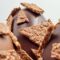 guillaume-cerdini-chocolats-2