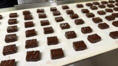 guillaume-cerdini-chocolats