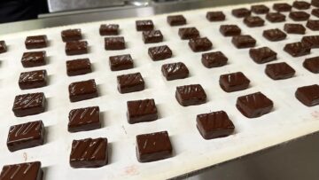 guillaume-cerdini-chocolats