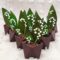 guillaume-cerdini-chocolats-4